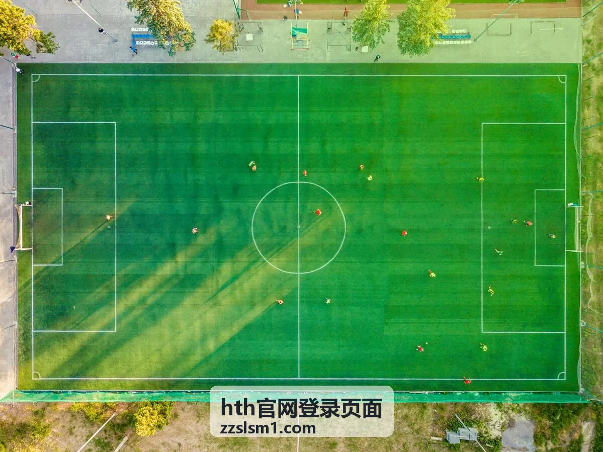 hth官网登录页面登录记录与常用设备核对场景
